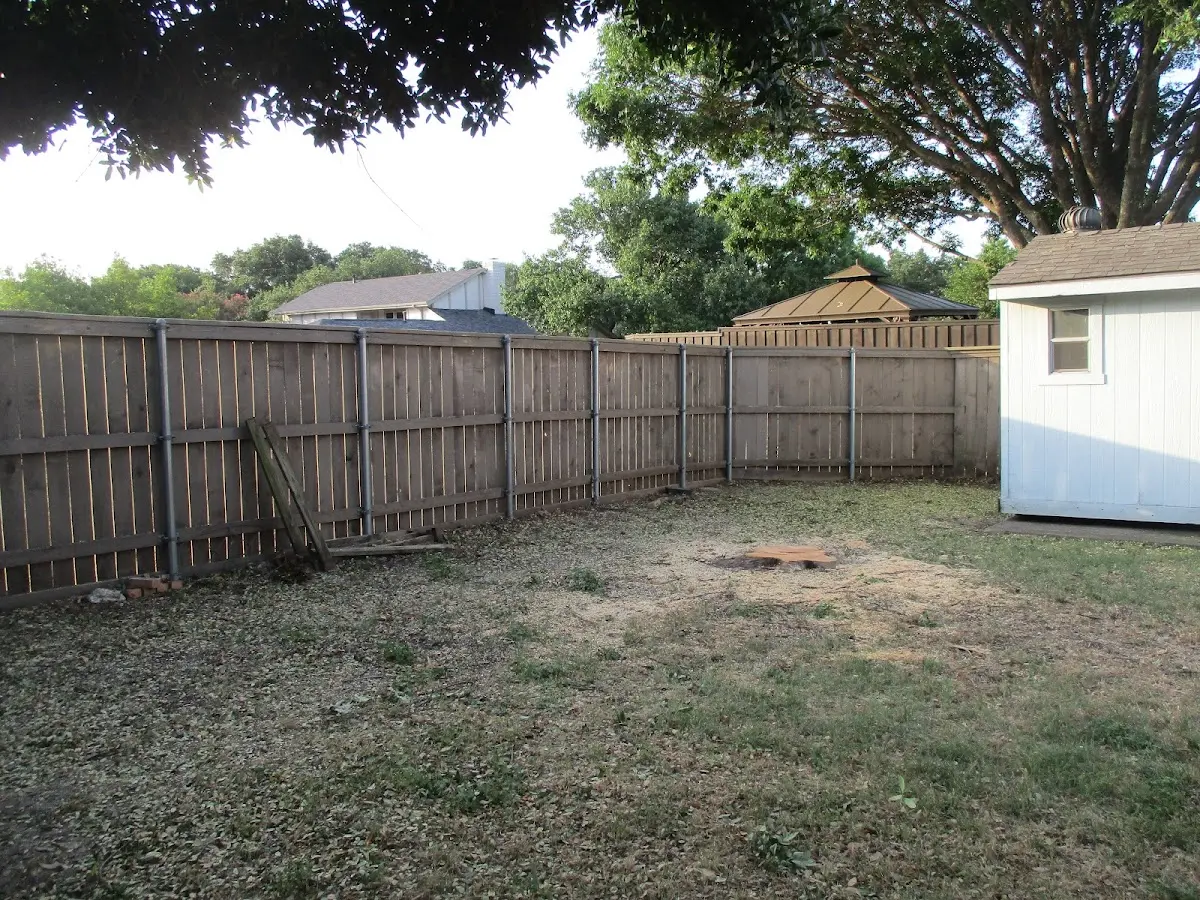Cleared yard after professional tree removal in Hartford