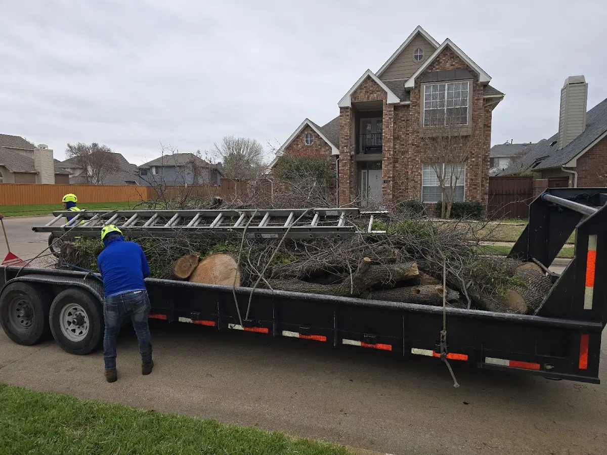 Expert Tree Fertilization with proper safety equipment in Hartford